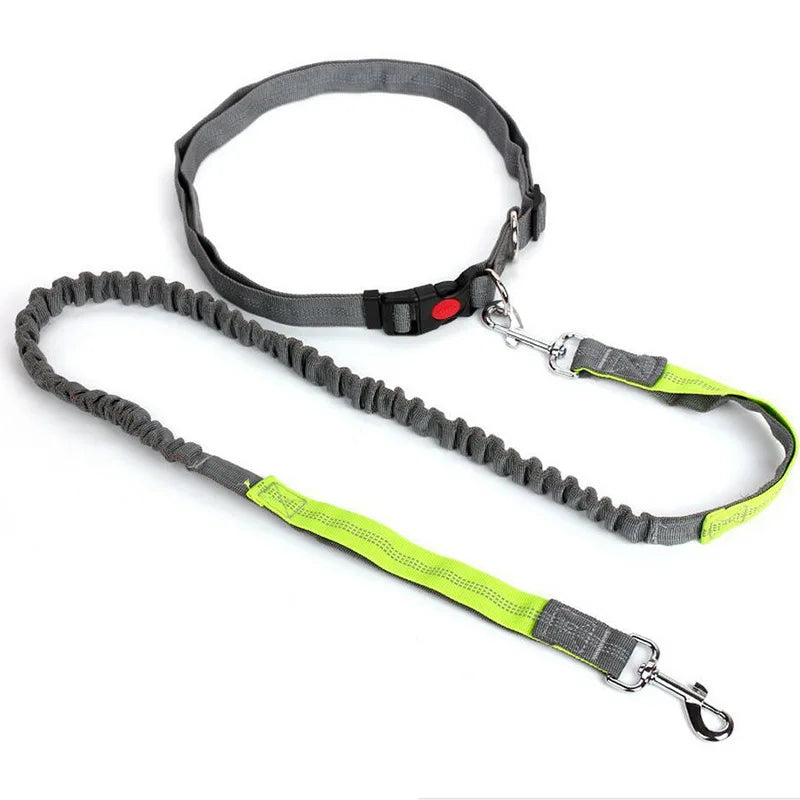 Studio Paw™ Hands-Free Bungee Running & Walking Leash