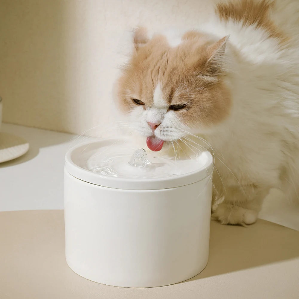 The Aesthetic Wireless Ceramic Pet Fountain