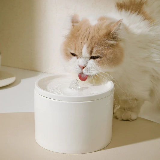 The Aesthetic Wireless Ceramic Pet Fountain