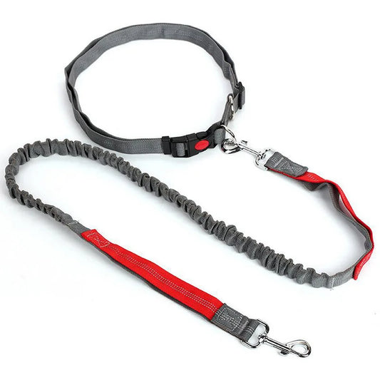 Studio Paw™ Hands-Free Bungee Running & Walking Leash